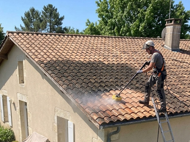 Toiture sale couverte de mousse avant traitement hydrofuge à Yffiniac